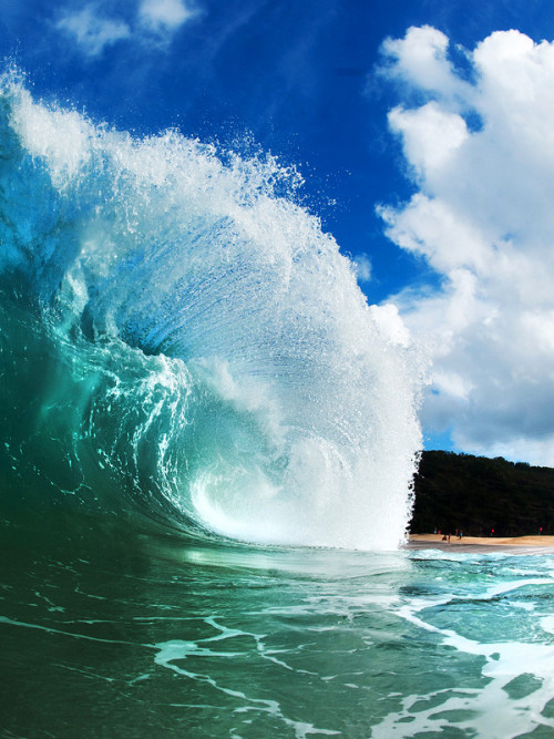 surfsouthafrica:  Heavy Waimea Shorebreak. Photo: Mike Lacey