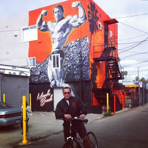 amgroma: My bro Arnold #Schwarzenegger next to himself in #venicebeach while on a #bikeride. #cyclin