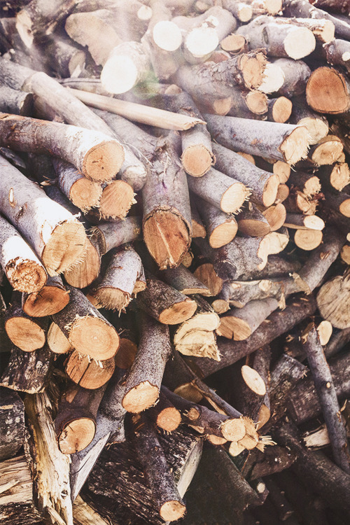 Firewood exposed to the October sun rays. Autumn vibes