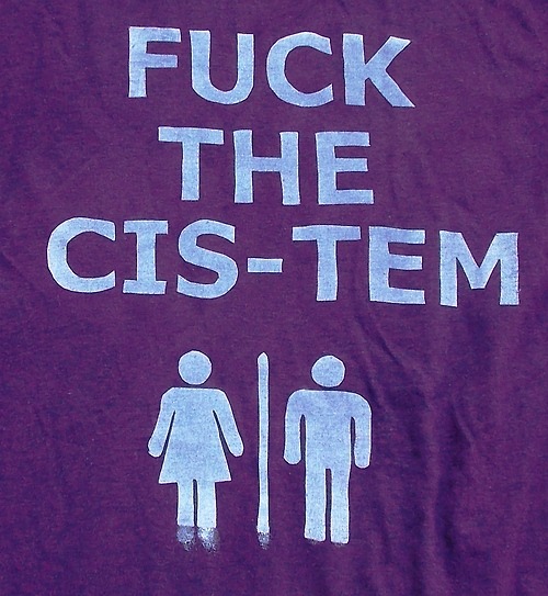 queernonywolf:  tortillapower:  Fuck The Cis-Tem Tshirts!http://www.etsy.com/shop/TortillaPower  o. m. g 