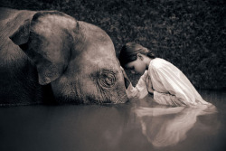 lohrien:  Ashes and Snow by Gregory Colbert