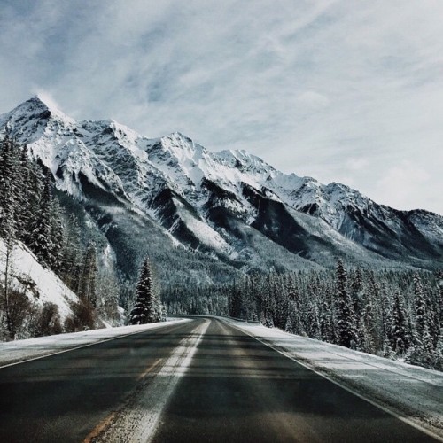 upknorth:  Meanwhile in Canada. #getoutdoors #upknorth  BC mountain roads. Photo by @treasuretrev 