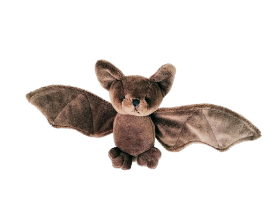 goobersplat:ALTALTALTALTALTALTMore Bat Plush! Albino Flying fox Plush, Black Bat, Choko Bat, Vlad the Vampire Stuffed Bat, Canyon Bat Plush, Cute Albino Bat Plush. 