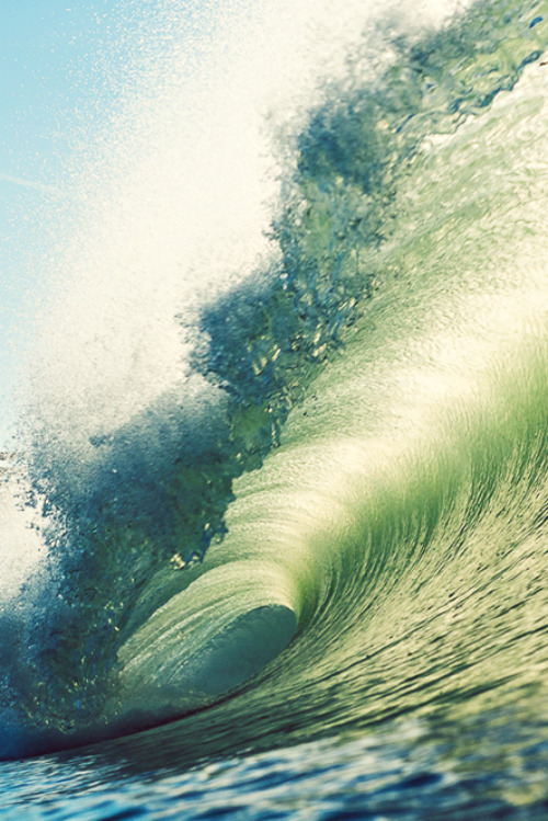 highenoughtoseethesea:  Central Cali Photo: Burkard 