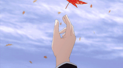 chiamis:Here. Your souvenir, Machi. It was beautiful when it fell right in front of me.