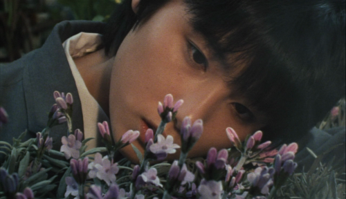 365filmsbyauroranocte:    The Little Girl Who Conquered Time (Nobuhiko Ōbayashi,