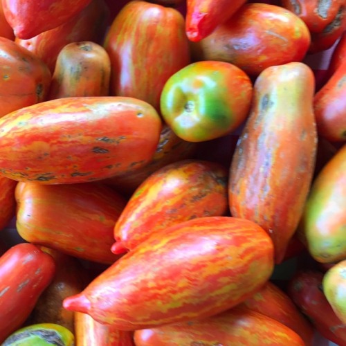 Heirloom Tomatoes, Oak Marr Farmers Market, Fairfax, 2017.As personal matters make time for editing 