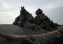 militaryarmament:  U.S Army Rangers with the Afghan-international security force pulling security on a compound in Kandahar province. Zhari District, Afghanistan. June 26, 2010.  Get Some!!!;-)