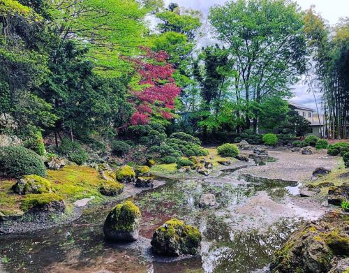 ＼おにわさん更新情報／ ‪[ 山形県山形市 ] 光禅寺庭園 Kozen-ji Temple Garden, Yamagata の写真・記事を更新しました。 ーー出羽国大名 #最上義光 の菩提寺に残る、
