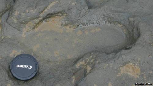The earliest European footprint The Lateoli footprints left behind by three Australopithecines 3.6 m