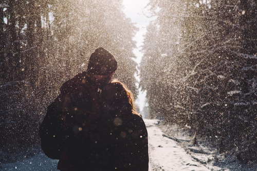 wild-nirvana:  melodyandviolence:    Winter forest by  *Nishe    x 