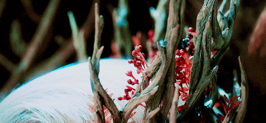 leepacesource:Vigorous Spring