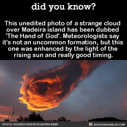 did-you-kno:  This unedited photo of a strange