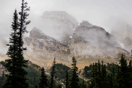 sitting-on-me-bum:    Rainy day in Banff National Park    Photographer: Nunzio Guerrera  