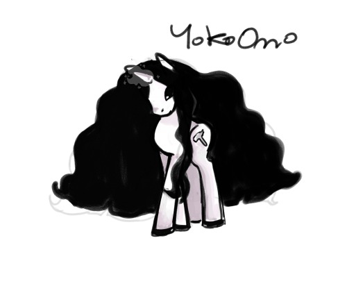 PONY YOKO PONY YOKO‼️‼️