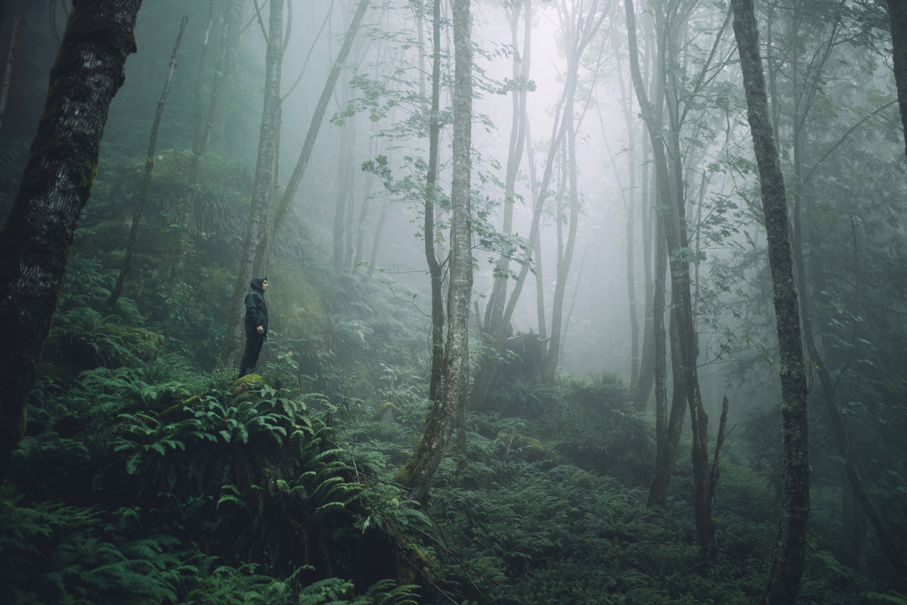 eartheld:  mostly nature