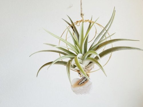 Crystal Heart Hanging Planter //FalconandFinch