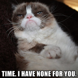 The Official Grumpy Cat's Tumblr