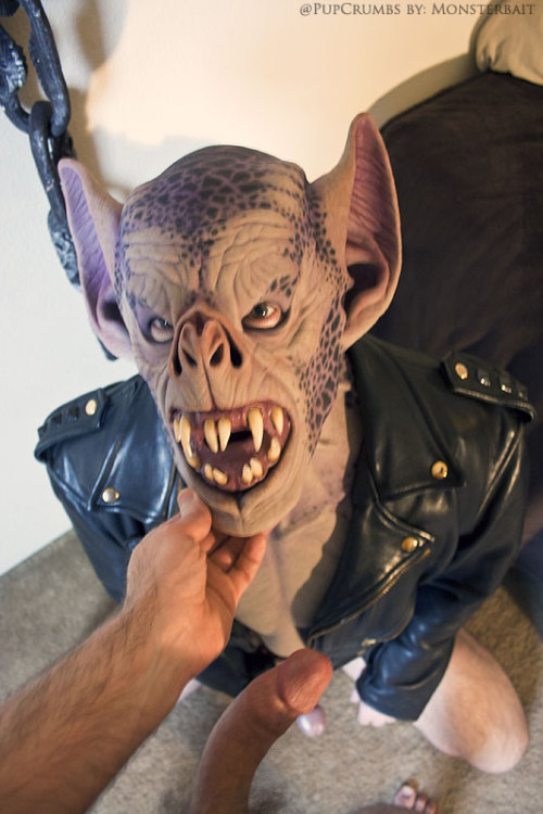 monsterbaitx:  Camo the Bat Eats Dick - April 2016 PupCrumbs in Bat Mask Shot by: Monsterbait 