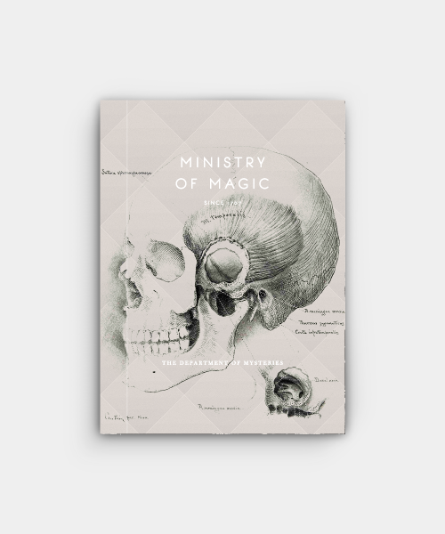 cassianed: ministry of magic  - pt. ii department of mysteries
