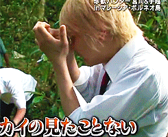 sgkaylee:  koboreta-hoshi:  Tegoshi and bugs.  MTE. why can’t they be dogs? lol.