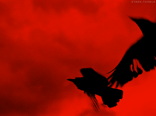 stark:  by the pricking of my thumbs, something wicked this way comes