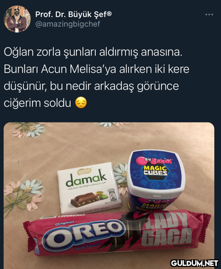 Prof. Dr. Büyük Şef®...