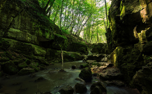 Hegyek mélyén &ndash; Deep in the mountains by H Tamás on Flickr.