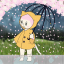 chibikiiaerid