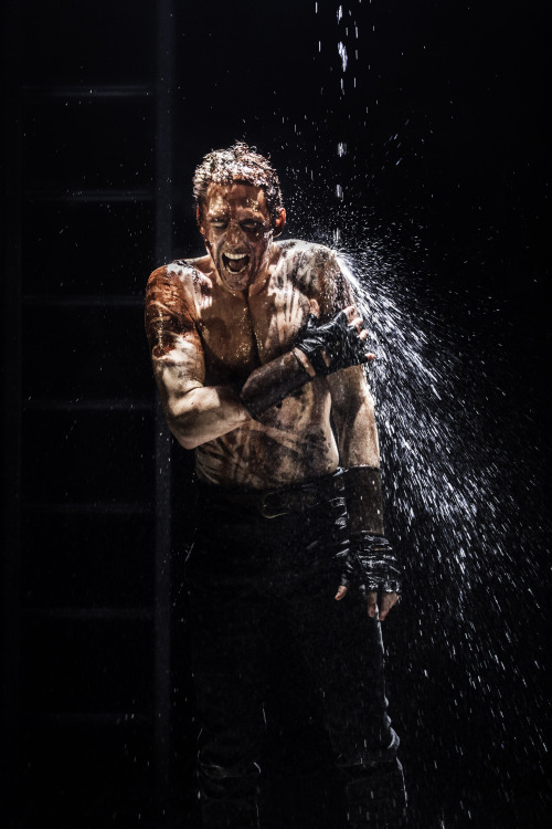 torrilla:Tom Hiddleston as Coriolanus in Coriolanus [8x UHQ] (x)