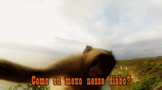 Quando eu ganho/compro um celular novo: