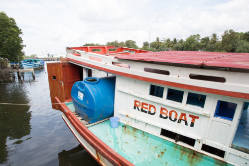 Fish Sauce: The Heart of Vietnamese CuisineLocation: Phu Quoc, VietnamIf you love Southeast Asian fo