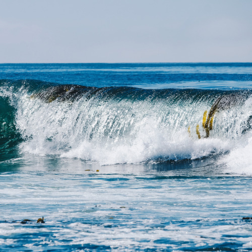 Crash into you. #crash #wave #surf #ocean #pacificocean #californiadreaming #vscocam #instagood #sea