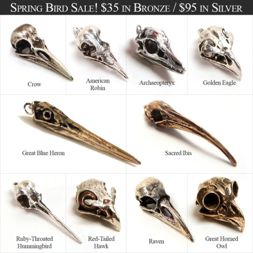 SPRING BIRD SALE!All Bird skull pendants just $35 in Bronze and $95 in Silver. Raven and Hummingbird