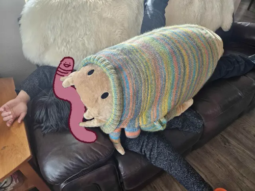 It's Not Transformers But I Knit My Giant Eurypterid Body Pillow A Sweater And Its The Best Thing I've