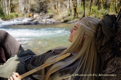 @mirkwood.elf.adventures