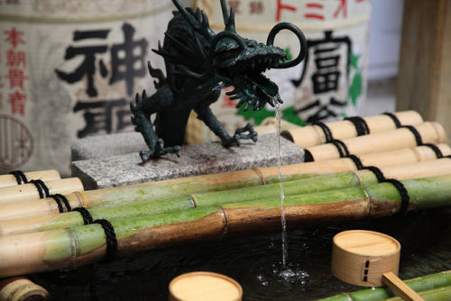 mizunokisu:手水舎の竜 by eyawlk60 on Flickr.