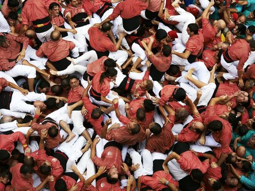 Everybody now…. Red-shirted castellers climb over and on each other to form a castel, or human tower