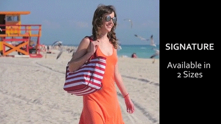 sizvideos:  Dezzio is the most functional beach bag you’ll ever find - Full video 