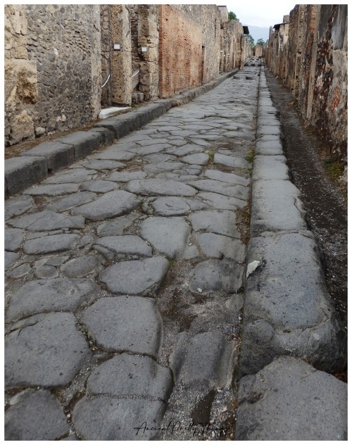 ancientprettythings:The Roads of Pompeii.I never thought traffic management could be so fascinating 