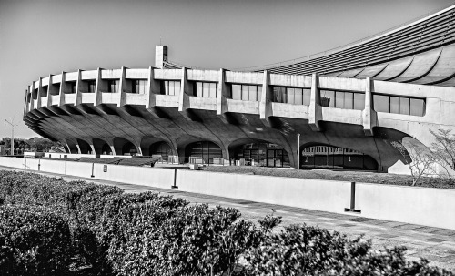 Yoyogi National Gymnasium | Kenzo Tange | Manuela Martin