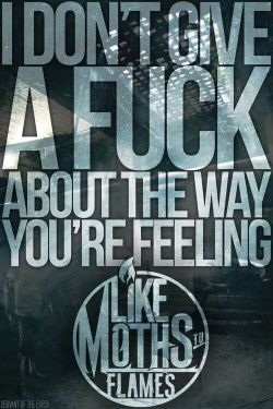 Source: Like Moths to Flames Facebook page  Boys, Music, Life