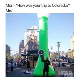 Weed Ltd