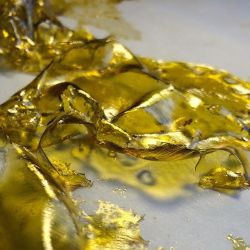 420studios:  New Pic From @osnapextracts