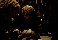 burntlikethesun:  ‘The last enemy that shall be destroyed is death’ 