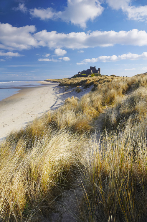 discovergreatbritain: NorthumberlandEnjoy a break surrounded by the inspiring landscapes of Northumb