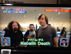 rosamour: @Macaron_manic: Napalm Death出てきたワロタwwwwww#YOUは何しに日本へ http://t.co/bqe26TbGcG 