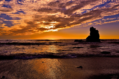 Sonoma Coast by sarada_saraswati on Flickr.