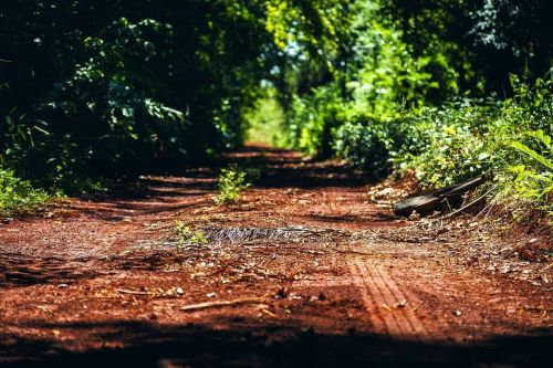 Dirty road. Ya la dije anteriormente, me encantan los caminos y las rutas, en mi provincia estan lo