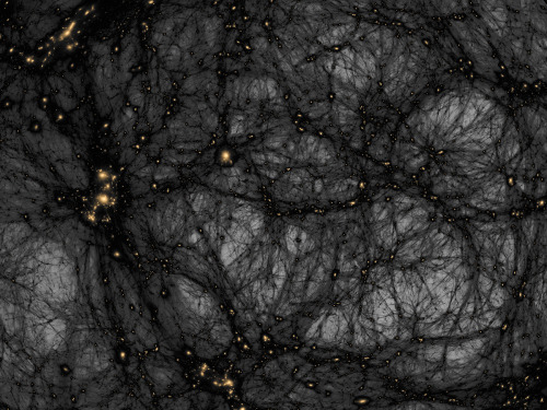 scienceisbeauty:Distribution of dark matter in the universe, as simulated with a novel, high-resolut